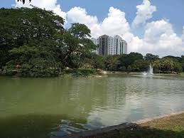 Penampakan arapaima pirarucu di tasik prima. Menarikdikualalumpur Taman Tasik Permaisuri Menarik Di Central