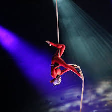 Cirque Du Soleil Luzia Tickets Seatgeek