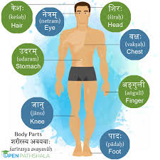 It's most commonly included in day to day conv. Name Of Body Parts Learn Sanskrit Open Pathshala
