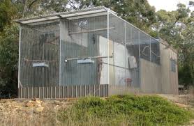 Tall Aviaries For The Security Of Breeding Birds Bird Aviary Aviary Bird Houses