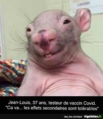 Que faire, et comment signaler les effets secondaires ? Jean Louis 37 Ans Testeur De Vaccin Covid Blagues Et Les Meilleures Images Droles