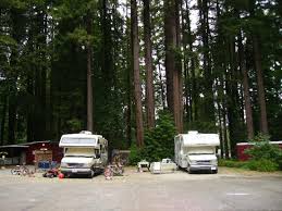 Mad river rapids rv park is located near the redwood forests of northern california, right off of highway 101 in the city of arcata. Santa Cruz Redwoods Rv Resort Bewertungen Fotos Felton Kalifornien Tripadvisor