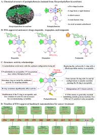 Image result for Podophyllotoxin