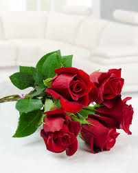 Maybe you would like to learn more about one of these? The Most Beautiful 5 Red Roses