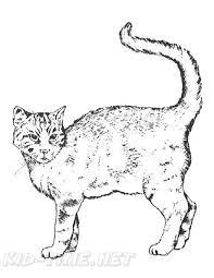 Cat coloring page to print. Coloring Pages Of Real Cats Coloring Page