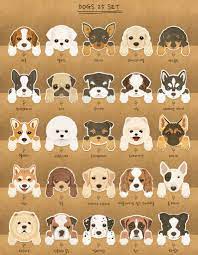 Pet Magnetic Bookmarks Dog Planner Bookmark Puppy Bullet Journal Bookmark Bookish Book Lover Gifts Scrapbooking School Supply Cute Dog Drawing Cute Animal Drawings Dog Drawing