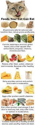 Safe Healthy People Foods Your Cat Can Eat Attention This Blog Is Not Meant To Be A Guide To A Cat S Prima Foods Cats Can Eat Homemade Cat Food Food Animals