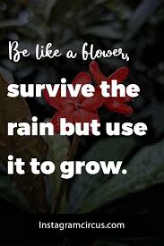 Maybe you would like to learn more about one of these? 27 Blooming Flower Quotes To Make People Smile