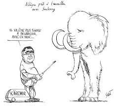 De plus, il faudra réussir à réaliser cette manipulation sur un ovocyte qui sera ensuite stimulé pour donner naissance à un véritable embryon. Claude Allegre Un Vieil Elephant Au Cimetiere Des Mammouths Agoravox Le Media Citoyen