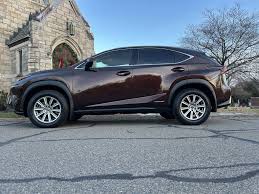 Image result for Autumn Shimmer 2016 NX