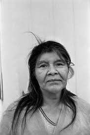 Primavera Silenciosa