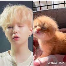 I magnifici 7💜❤️‍🔥