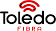 Logo de TOLEDO FIBRA TELECOMUNICACOES LTDA