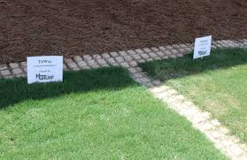 Mow it once the sod reaches hire a professional for sod care and maintenance. Tips For Lawn Care During Spring Green Up Ng Turf
