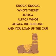 Check out our top 25 picks for the most hilarious knock knock jokes that are sure to get your friends and family belly laughing. Jokes For Kids 104 Of The Best Knock Knock Jokes To Make Them Laugh