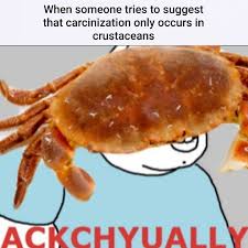 Sounds like something a crab would say... | Facebook