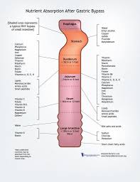 Pin On Nutrition Tips