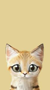 Kitten Cat Wallpaper Mobile In 2020 Cat Wallpaper Kitten Wallpaper Animal Wallpaper