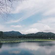 Di tempat seluas kurang lebih 2,500 hektar ini. Wisata Rawa Dano Serang Desa Wisata Cikolelet Sajikan Keindahan Alam Kabupaten Serang Rawa Danau Terletak Di Kabupaten Serang Banten Rennie84ul