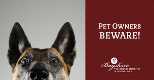 Like meds for humans, prices can run incredibly high. Buyer Beware Bayshore Veterinary Hospital