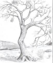 They will help a lot. Mechanical Pencil Landscape Pencil Drawings Tree Drawings Pencil Tree Drawing