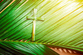 Branches of olive, box elder, spruce or other trees are used in places where palms are not available. Palm Sunday Stock Photos And Images 123rf