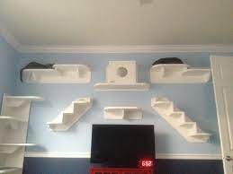 Diy Wall Cat Perches Tale Of Two Kitties And Their Cat Wall System Cat Wall Cat Climbing Wall Animal Room
