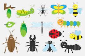 4) a bee's wings beat 190 times a second, that's 11,400 times a minute. Different Colorful Insects Pictures For Children Fun Education Game For Kids Preschool Activity Set Of Stickers Vector Illustr Stock Illustration Illustration Of Activity Graphic 150296172