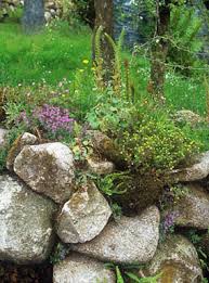 Mary reynolds landscape a modern family home in cornwall; Celtic Sanctuary And Kew Mary Reynolds Reformed Landscape Designer