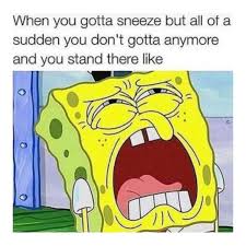 We did not find results for: Funny Spongebob Pictures 1080x1080 1080 X 1080 Spongebob Beautiful Funny Spongebob Wallpaper Wallpapertag This Month Left Of The Hudson Free Funny Spongebob Squarepants Iphone Hd Wallpaper Computer Desktop Wallpapers Pictures Images Lacreshakj