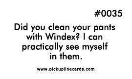 Did You Clean Your Pants With Windex I Can Practically See Myself In Them Pick Up Line Jokes Pick Up Lines Cheesy Corny Pick Up Lines