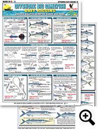 Bait Rigging And Knot Tying Techniques For Inshore