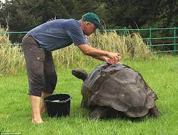 World S Oldest Tortoise Jonathan Enjoys His First Ever Bath Petsonboard Com Pets On Board