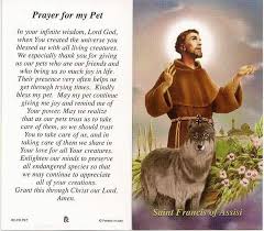 St Francis Of Assisi Prayer For My Pet Saint Francis Prayer Sick Pets Pets