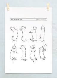 Black And White Dachshund Print Pin By Sarah Champion On Pets Dog Stuff Wiener Dog Dachshund Art Dachshund