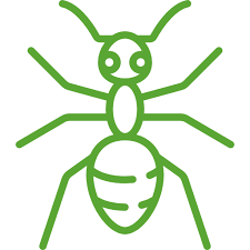 Find residential pest control that you can rely on. Pest Control Extermination Services Plant City Tampa Fl Safari Pest Control Llc