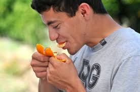 Program puts Nordhoff High students