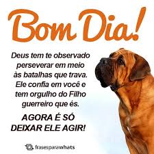 pin em bom dia