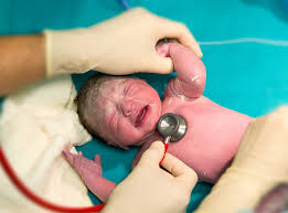 Maybe you would like to learn more about one of these? Is Midwifery The Right Career For You Healthtimes
