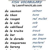 French Fish Apprendre L Anglais Mots Francais Apprentissage De La Langue Francaise