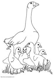 Rumble In The Jungle Book Coloring Pages