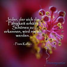 Geburtstagsspruche Fur Altere Damen Gluckwunsche Geburtstag Freundin Kurze Geburtstagswunsche Geburtstagswunsche