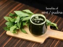 Drinking warm water can soothe the digestive tract and make digestion easier on your stomach. Top 6 Health Benefits Of Mint Leaf Diy Home Remedies With Pudina