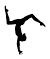 Spring Gymnastics Floor