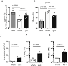 Utc+5h or gmt +5h would refer to that time zone being five hours ahead of utc of gmt and so forth for the other time zones. Efficient Protection Of Mice From Influenza A H1n1pdm09 Virus Challenge Infection Via High Avidity Serum Antibodies Induced By Booster Immunizations With Inactivated Whole Virus Vaccine Sciencedirect