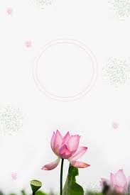 Check spelling or type a new query. Pink Lotus Floral Flower Background Flower Backgrounds Flower Background Wallpaper Flower Background Images