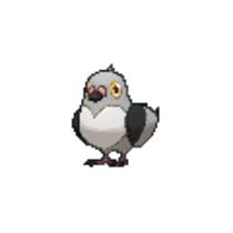 pokemon sword and shield pidove locations moves weaknesses