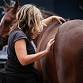 Equine Advanced Practitioner Workshop event image