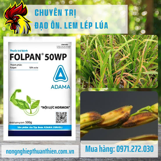 Folpan 50WP