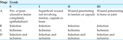 Image result for IDSA Diabetic Foot Wound Classification